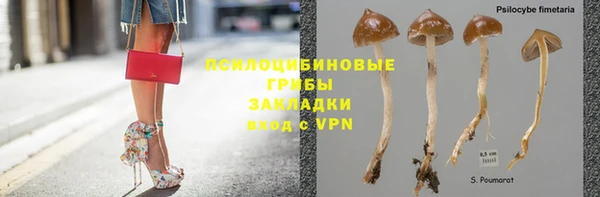 MDMA Бородино